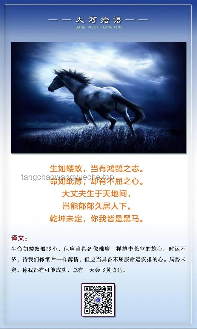 乾坤未定，你我皆是黑马：探索人生无限可能